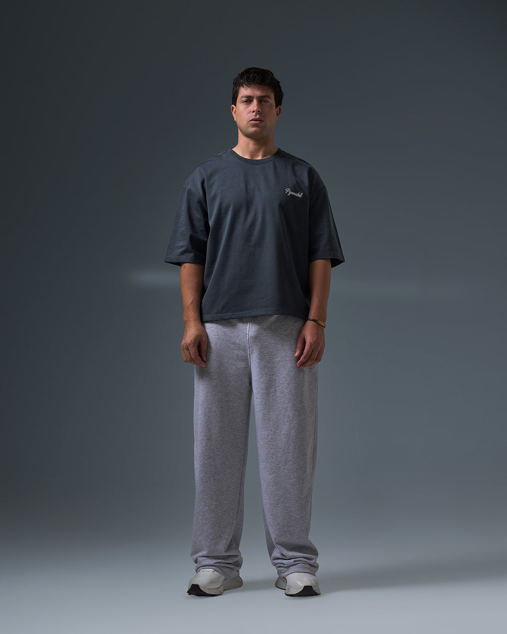 Boxyfit roundneck (GRAY)