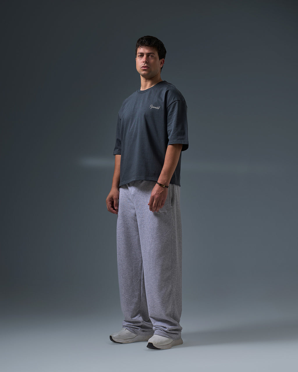 Boxyfit roundneck (GRAY)