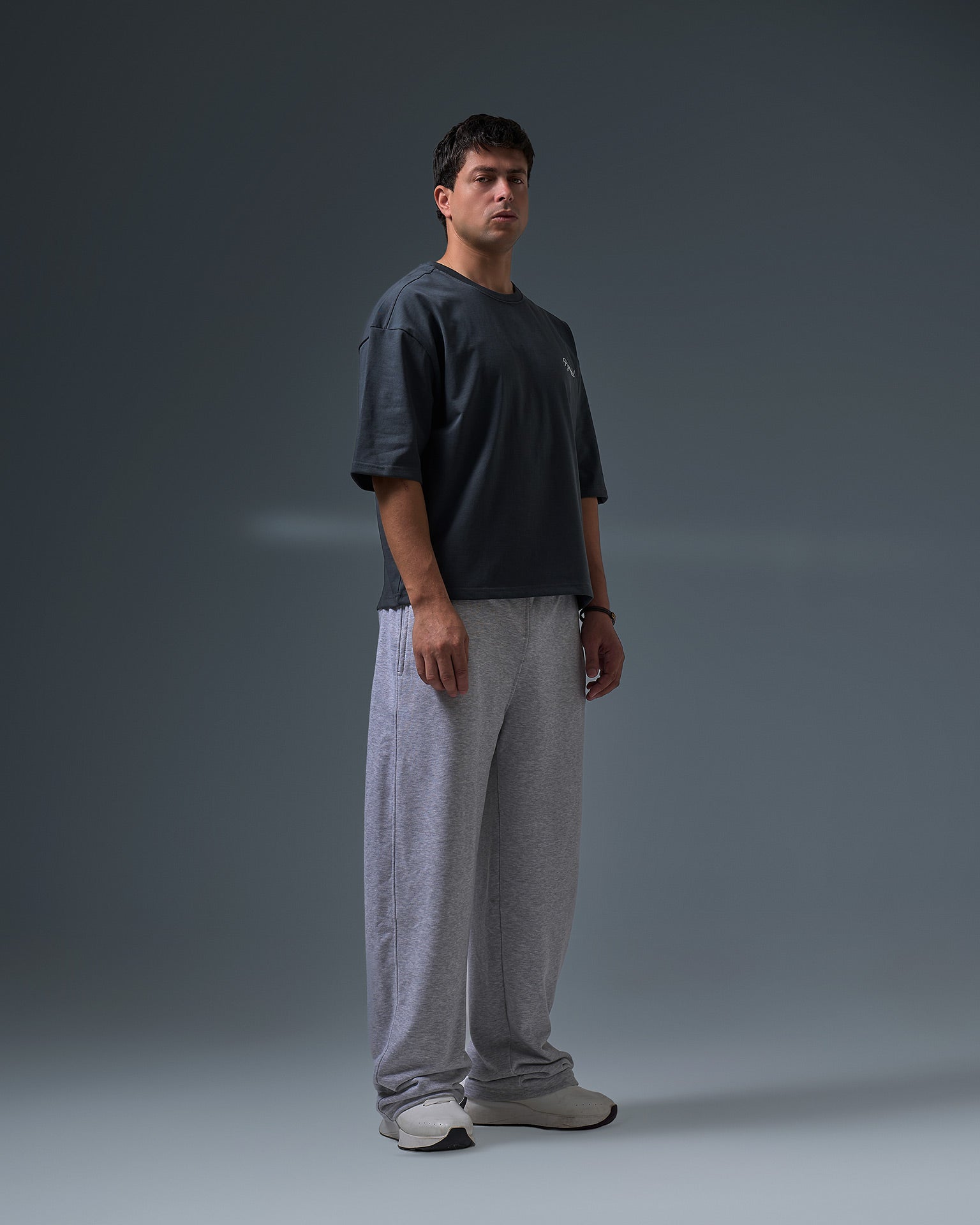 Boxyfit roundneck (GRAY)
